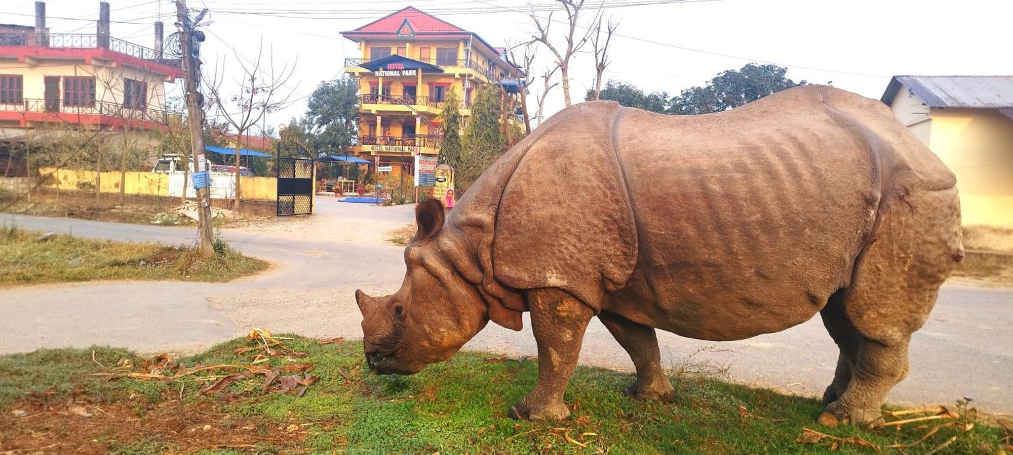 Hotel National Park Sauraha- Homely Stay And Peaceful Location With Jungle Safari Arrangements Экстерьер фото