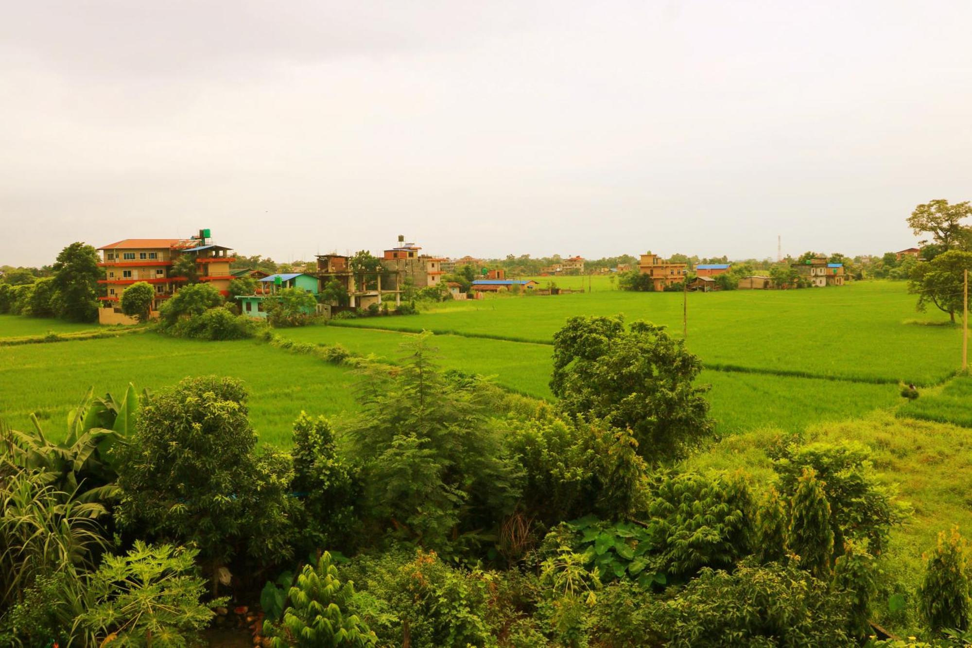 Hotel National Park Sauraha- Homely Stay And Peaceful Location With Jungle Safari Arrangements Экстерьер фото
