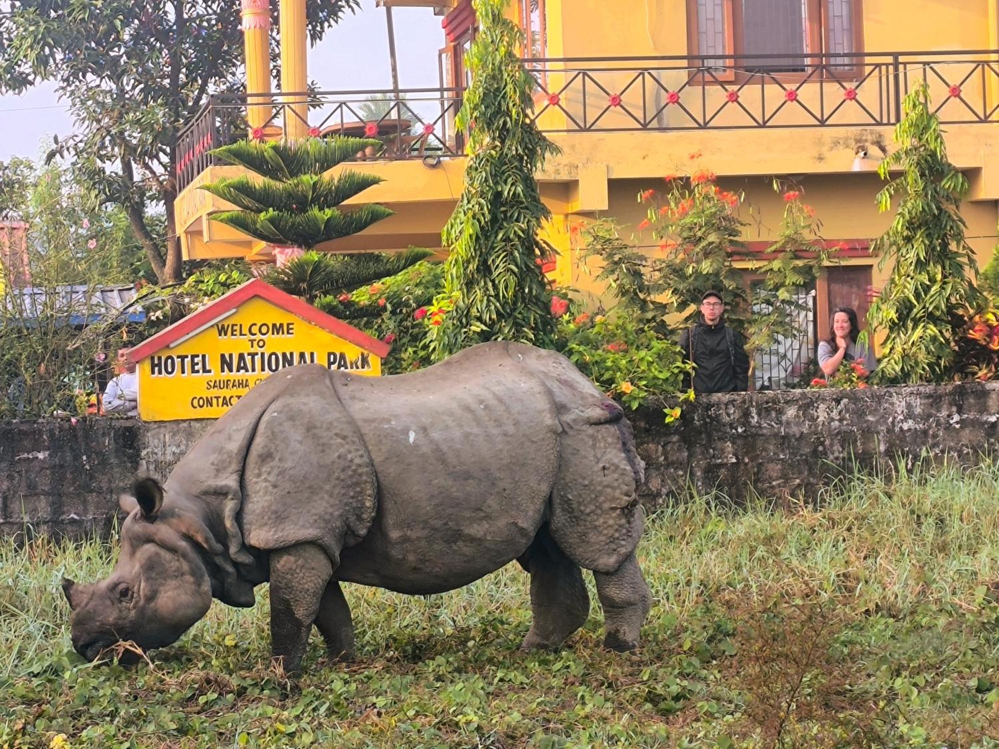 Hotel National Park Sauraha- Homely Stay And Peaceful Location With Jungle Safari Arrangements Экстерьер фото